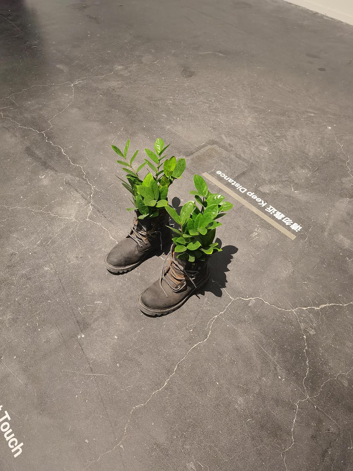 images/art/2021-12-19 莫瑞吉奥卡特兰 最后的审判/12.jpg